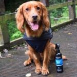MUCKY PUP NO-RINSE SHAMPOO SPRAY ANIMOLOGY - dog line Σ Π Ρ Ε Ϊ-250ml - Image 4