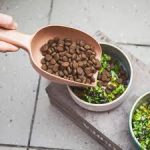 Beco Φτυάρι Φαγητού για Κατοικίδια από Μπαμπού Green - Image 14