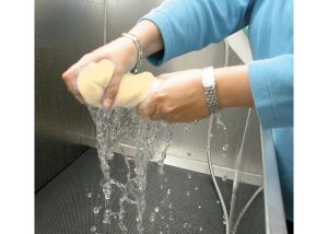 MAGIC TOWEL SHOW TECH - Image 3