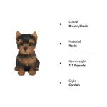 Real Life York Shire Terrier - Image 2