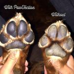 Καταπραϋντική Κρέμα Πατούσας Paw Soother- 30ml - Image 2