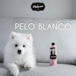 PETUXE VEGAN WHITE HAIR SHAMPOO-200ml - Image 3