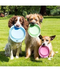 BECO TRAVEL BOWL GREEN-LARGE - Image 10