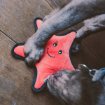 BECO ROUGH AND TOUGH TOY STAR FISH-Medium - Image 2