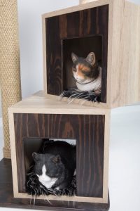 “Fluffy” Kitty Fun 2 boxes Cat Tree Condo & Scratcher - Image 3