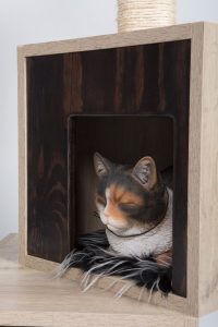 “Fluffy” Kitty Fun 2 boxes Cat Tree Condo & Scratcher - Image 4