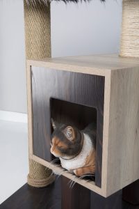 “Fluffy” Kitty Fun 1 Box Cat Tree Condo & Scratcher - Image 3