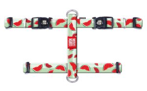 ΕΠΙΣΤΗΘΙΟ ΣΚΥΛΟΥ MAX & MOLLY WATERMELON XSMALL