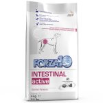 FORZA10 INTESTINAL ACTIVE CANINE FORMULA – ΓΑΣΤΡΕΝΤΕΡΙΚΟ ΣΥΣΤΗΜΑ ΣΚΥΛΟΥ - 4kg-Adult-S/M/L