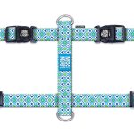 ΕΠΙΣΤΗΘΙΟ ΣΚΥΛΟΥ MAX & MOLLY RETRO BLUE SMALL