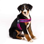 ΕΠΙΣΤΗΘΙΟ MAX & MOLLY Q-FIT PINK - MEDIUM - Image 2