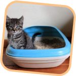 Beco Bamboo Cat Litter Tray-Natural - Image 6