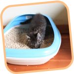 Beco Bamboo Cat Litter Tray-Natural - Image 5