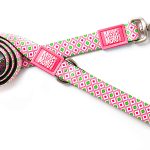 ΟΔΗΓΟΣ ΠΕΡΙΠΑΤΟΥ ΣΚΥΛΟΥ MAX & MOLLY RETRO PINK SMALL