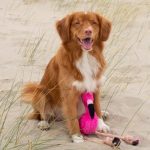 BECO DUAL MATERIAL FLAMINGO MEDIUM - Image 3