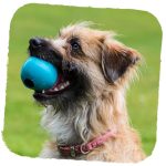 BECO BALL BLUE MEDIUM - Image 7