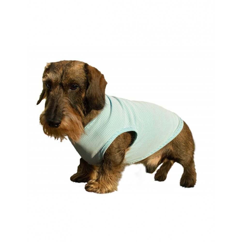 farm-company-magic-freeze-t-shirt FARM COMPANY MAGIC FREEZE T-SHIRT Large(45cm) - Image 1