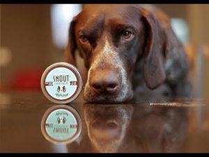 Καταπραϋντική Κρέμα Μύτης Snout Soother 30ml - Image 6