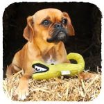 BECO FAMILY ARETHA THE ALLIGATOR - Large - Image 4