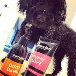 DIRTY DAWG NO-RINSE SHAMPOO SPRAY ANIMOLOGY - dog line Σ Π Ρ Ε Ϊ -250ml - Image 3