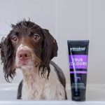 TRUE COLOURS SHAMPOO ANIMOLOGY - dog line Σ Α Μ Π Ο Υ Α Ν - Μ Α Λ Α Κ Τ Ι Κ Η-250ml - Image 3