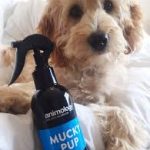 MUCKY PUP NO-RINSE SHAMPOO SPRAY ANIMOLOGY - dog line Σ Π Ρ Ε Ϊ-250ml - Image 2