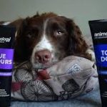 Animology - TOP DOG Conditioner (Μαλακτική κρέμα) 250ml - Image 2