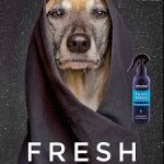 MUCKY PUP NO-RINSE SHAMPOO SPRAY ANIMOLOGY - dog line Σ Π Ρ Ε Ϊ-250ml - Image 3