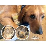 STICK ΚΑΤΑΠΡΑΥΝΤΙΚΗ ΚΡΕΜΑ ΠΑΤΟΥΣΑΣ PAW SOOTHER 60ml - Image 3