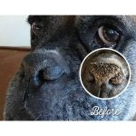 Stick Ταξιδίου Μύτης Snout Soother 4.50ml - Image 2