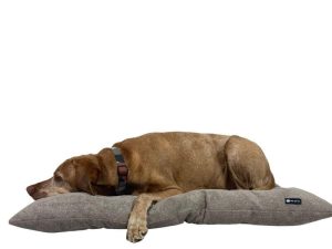 N R DOGS FULLY PILLOW BEDS-LARGE(93x65cm) - Image 4