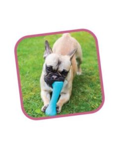 Beco Bone Blue-Small - Image 5
