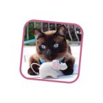 BECO FAMILY MILLIE THE MOUSE - Image 2