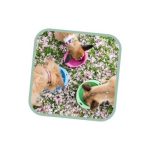 BECO TRAVEL BOWL BLUE-LARGE - Image 2