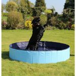 ΠΙΣΙΝΑ ΣΚΥΛΟΥ PET POOL - 120x30cm - Image 4