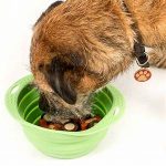 BECO TRAVEL BOWL GREEN-LARGE - Image 11