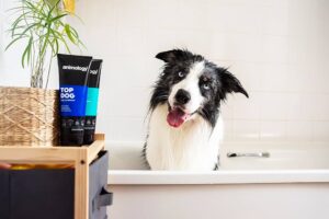 Animology - TOP DOG Conditioner (Μαλακτική κρέμα) 250ml - Image 4