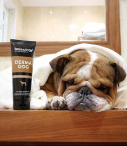 Animology Care Combo – Ολοκληρωμένη Περιποίηση για Σκύλους (ΔΩΡΟ Πετσέτα Towel Champions) - Image 3