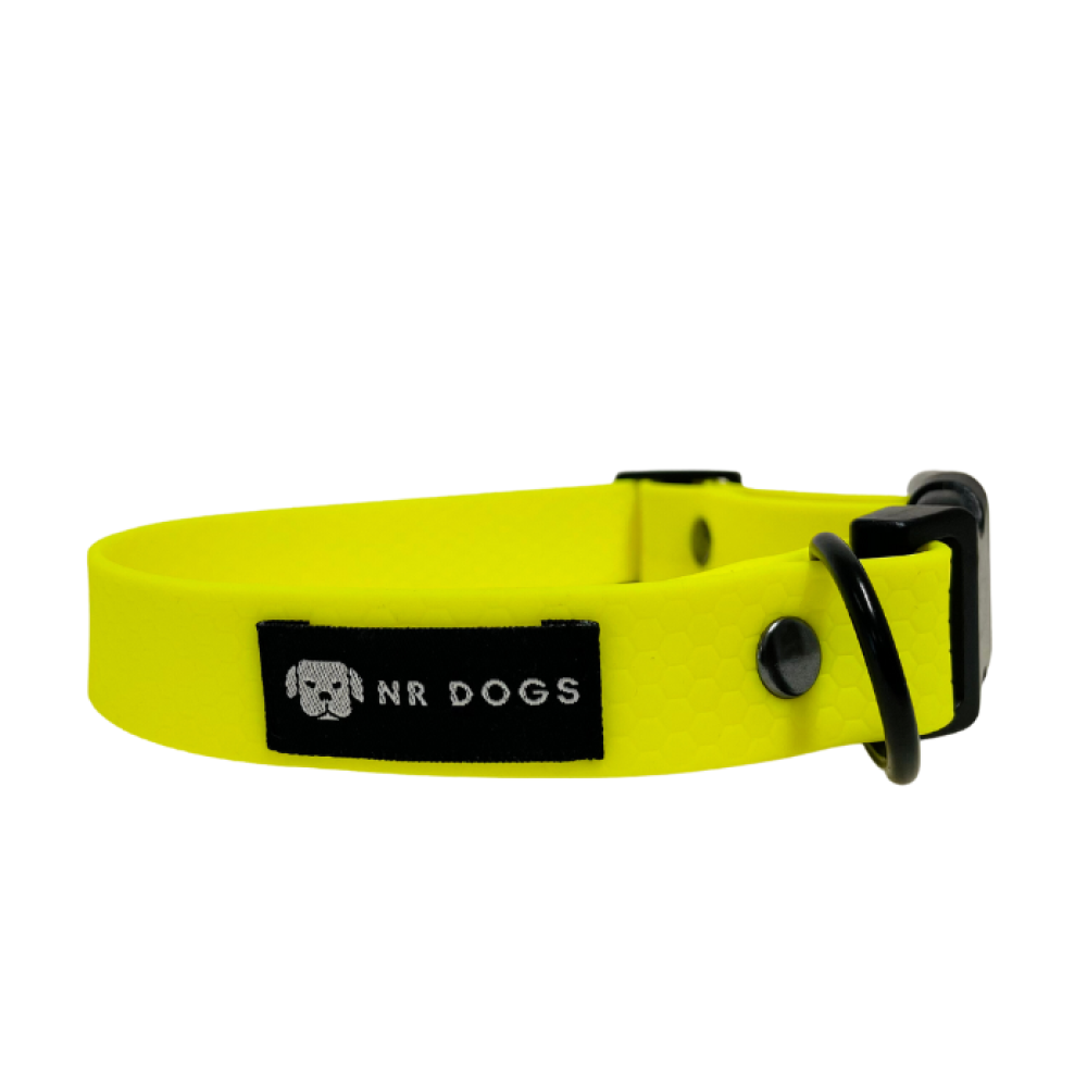 perilaimio-skylou-neon-locopaws-yellow-1000x1000w Αδιάβροχο Περιλαίμιο Σκύλου NR Dogs Neon Collection Κίτρινο-Small - Image 1