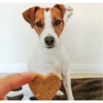 Μπισκότα Chicken Love Κοτόπουλο & Καρότο 100gr - Image 5