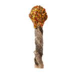 Lollipop Με Γαλοπούλα Και Δέρμα Μπακαλιάρου 35-40gr - Image 2