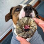 Life Saver Donuts Από Δέρμα Μπακαλιάρου 35-40gr - Image 4